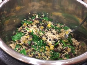 Vegan Under Pressure review