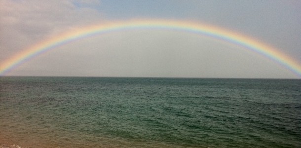 Maui rainbow